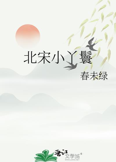 北宋小丫鬟书评