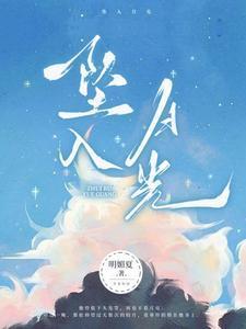 坠入月光检察官